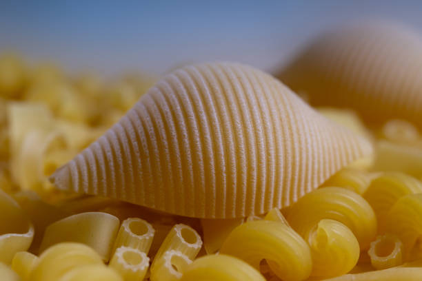 فروش ماکارونی صدف + قیمت خرید به صرفه